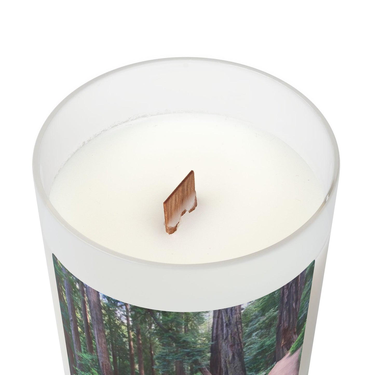 Nature-Inspired Frosted Glass Candle - 11oz Aromatherapy Candle for Relaxation