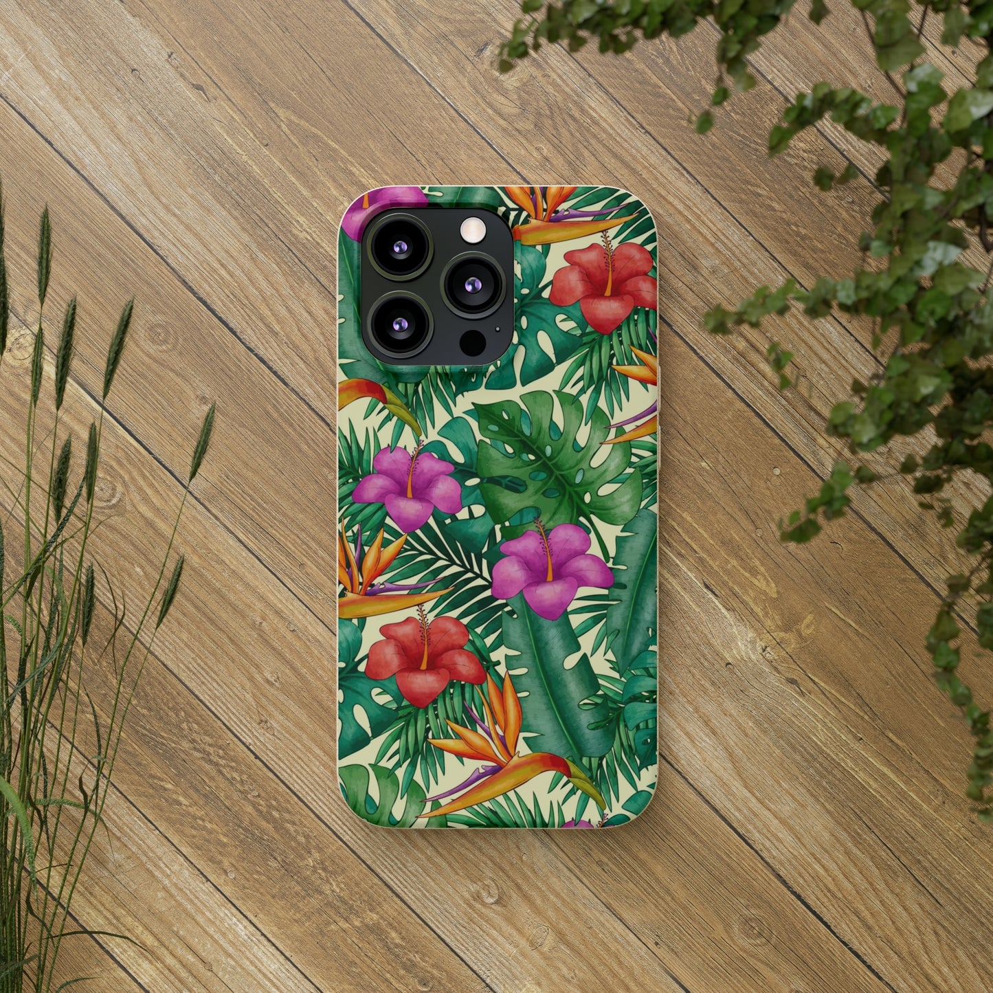 "Bird of Paradise Delight"  Eco Biodegradable Phone Cases - iPhone and Galaxy