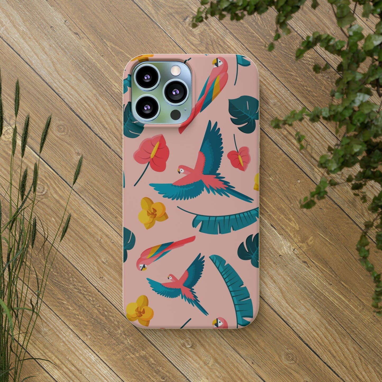 "Colorful Plumage"  Eco Biodegradable Phone Cases - iPhone and Galaxy