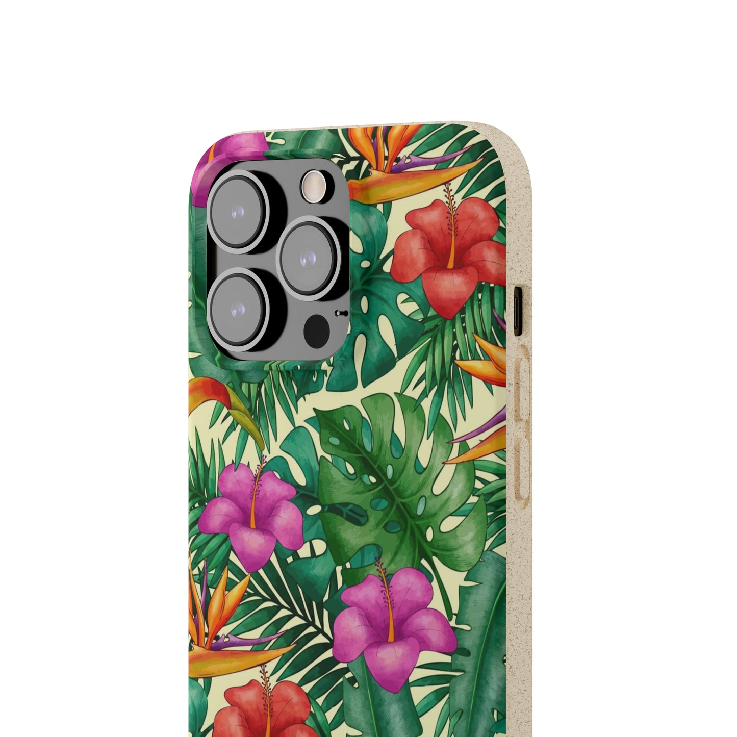 "Bird of Paradise Delight"  Eco Biodegradable Phone Cases - iPhone and Galaxy